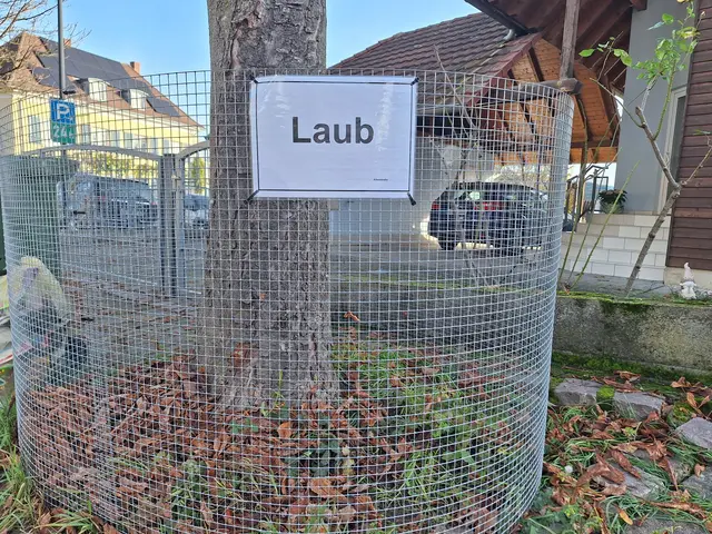 Die Laubkörbe sind ausschließlich für Laub vorgesehen.  | Foto: Stadt Ettenheim