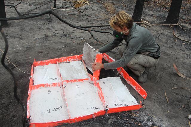Foto: Bild 2. Onil der Drache mit seiner Drachenhüterin_© Oniversum Bildunterschrift: Onil auf der Suche nach Futter, um sein Drachenei ausbrüten zu können., Bild 3. Betty Beier beim Konservieren einer Bodenoberfläche_© Betty Beier  Bildunterschrift: Betty Beie