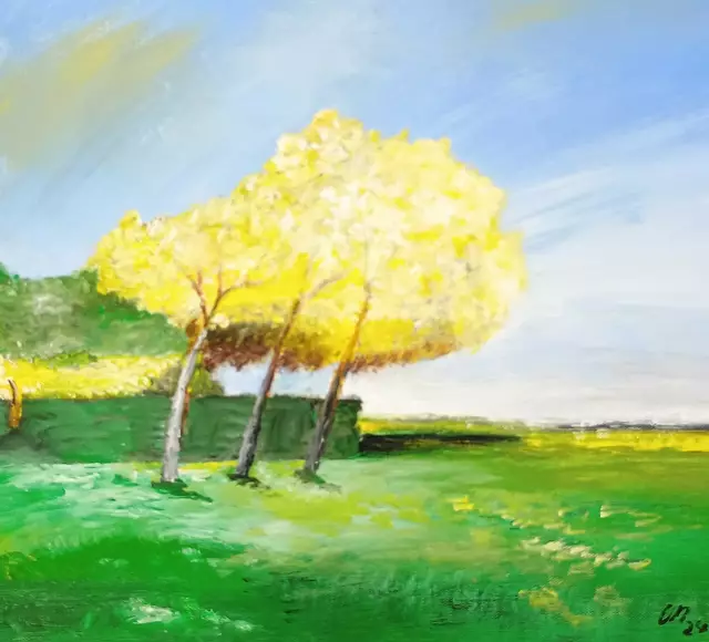 Baumblüte | Foto: Christian Neubauer