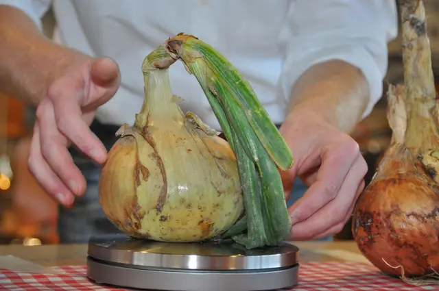 Foto: Musikverein Fautenbach e.V.