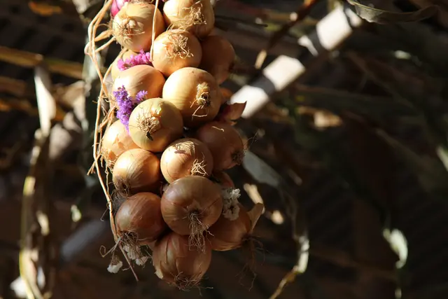 Foto: Musikverein Fautenbach e.V.