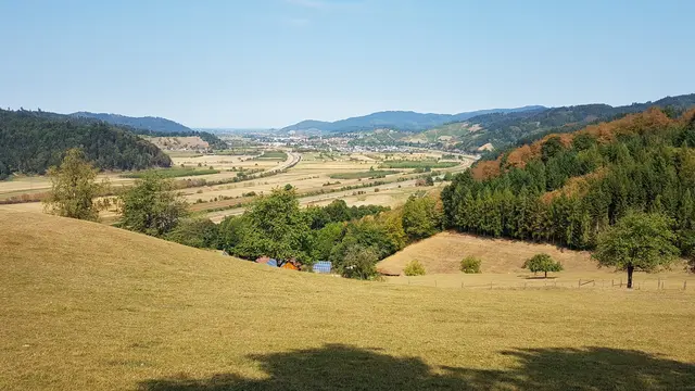 Foto: Berg- und Wanderfreunde Schwaibach