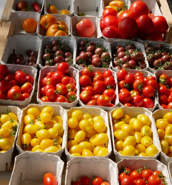 Foto: Sabine Mai-Bizenberger