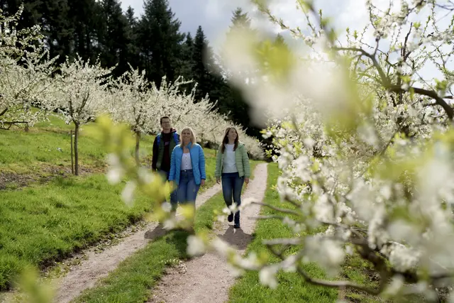 Unterwegs auf dem Oberkircher Brennersteig 
 | Foto: Jigal Fichtner 