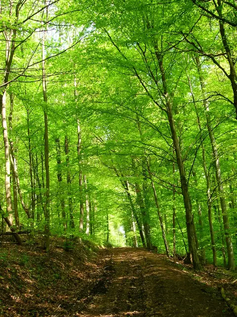Foto: LandFrauen Gutach