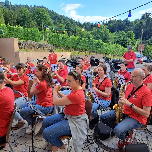Fessenbacher Musikerinnen und Musiker | Foto: MV Fessenbach 