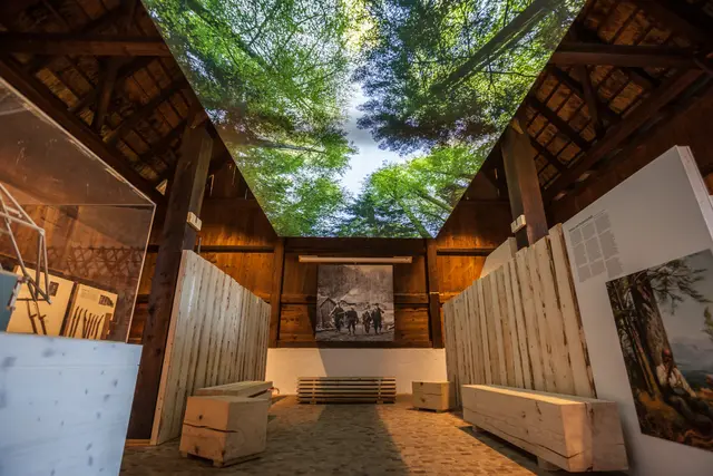 Beim Aktionstag am 27. September dreht sich im Schwarzwälder Freilichtmuseum Vogtsbauernhof alles um die Bedeutung des Waldes und seine Zukunft.  | Foto: Schwarzwälder Freilichtmuseum Vogtsbauernhof, Hans-Jörg Haas