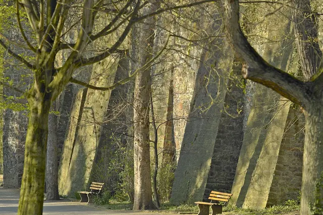 Stadtmauer Offenburg | Foto: Karl Schlessmann
