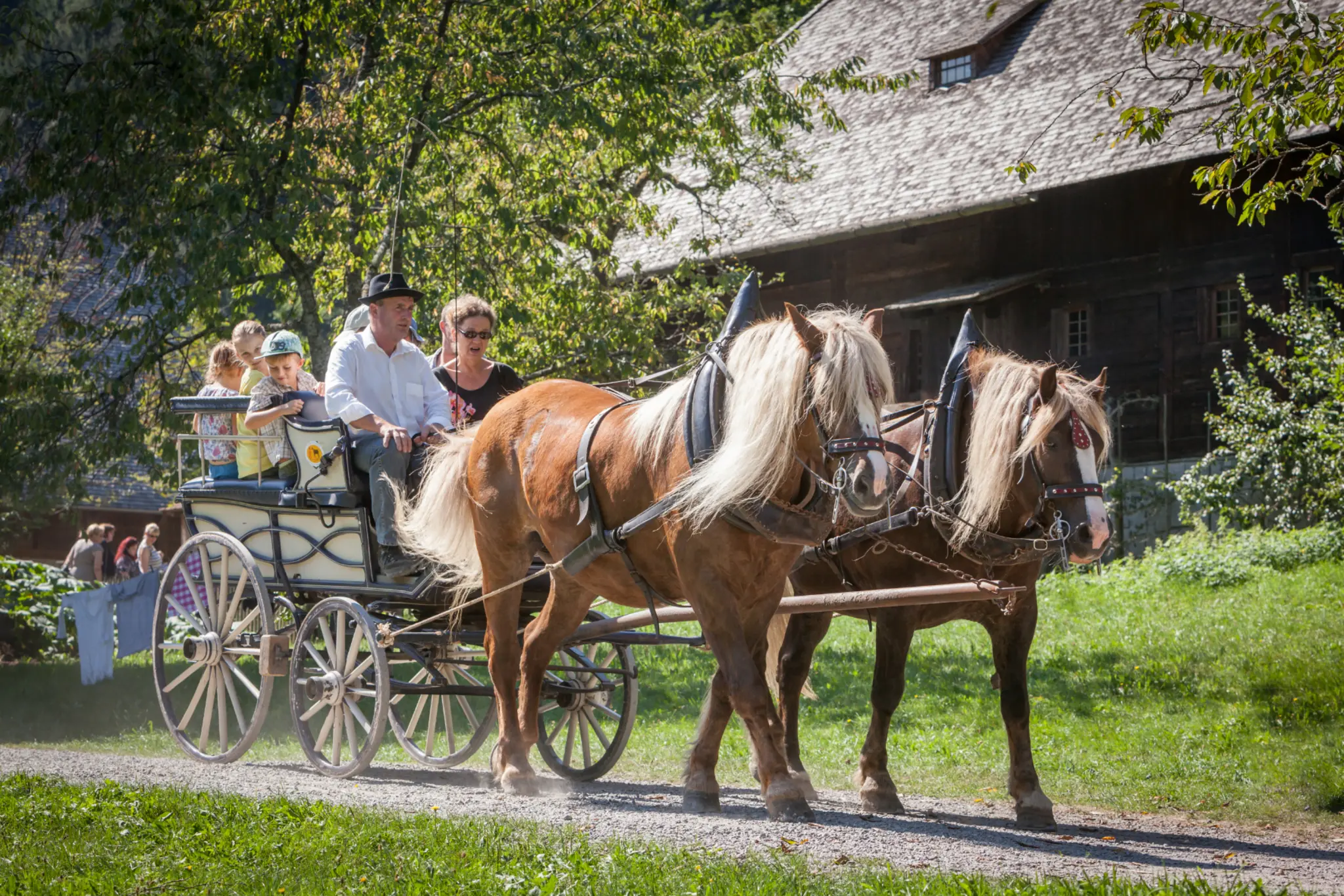 Sommer- und Familienfest im Vogtsbauernhof