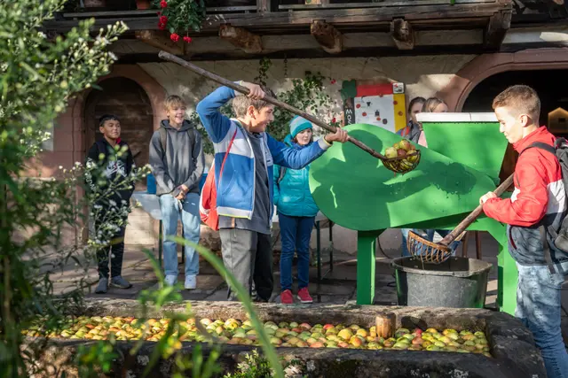 Aktionen und Informationen rund um den Apfel erwarten die Besucher des Freilichtmuseums Vogtsbauernhof am Sonntag, den 6. September. | Foto: Schwarzwälder Freilichtmuseum Vogtsbauernhof, Hans-Jörg Haas 
