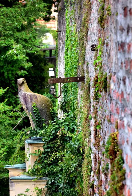Die Stadtmauer im Osten an der Gleispromenade | Foto: U. Marx/ Stadtarchiv Offenburg