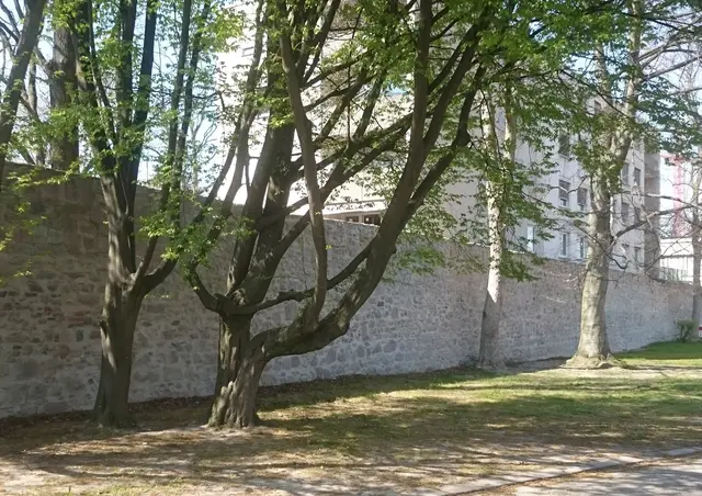 Die Stadtmauer im Osten an der Gleispromenade | Foto: Stadt Offenburg