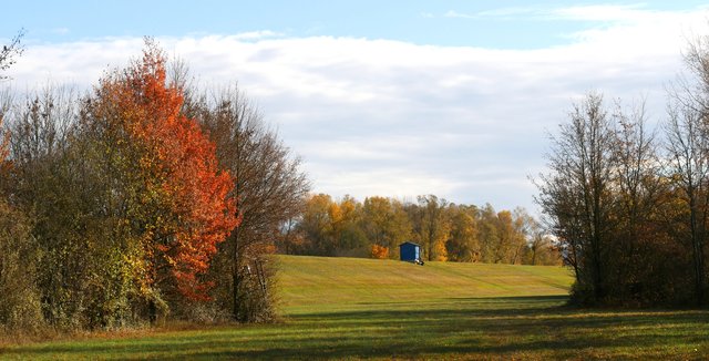 Herbstfärbung am Damm bei Marlen