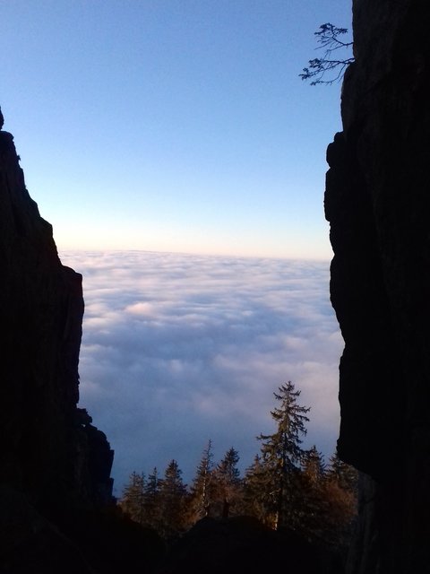 Foto: Jan Wiesenfarth