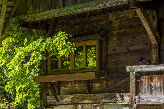 Fensterspiegel