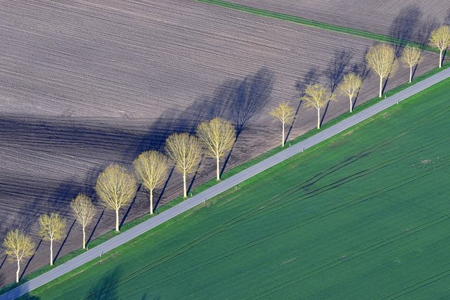 Diagonale