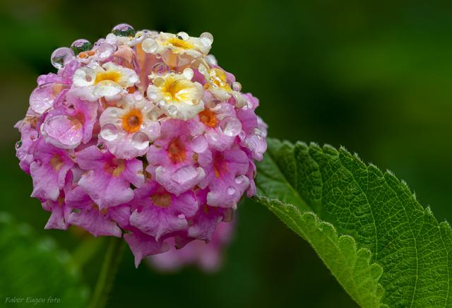 Der Herbst kommt leider langsam auf uns zu...