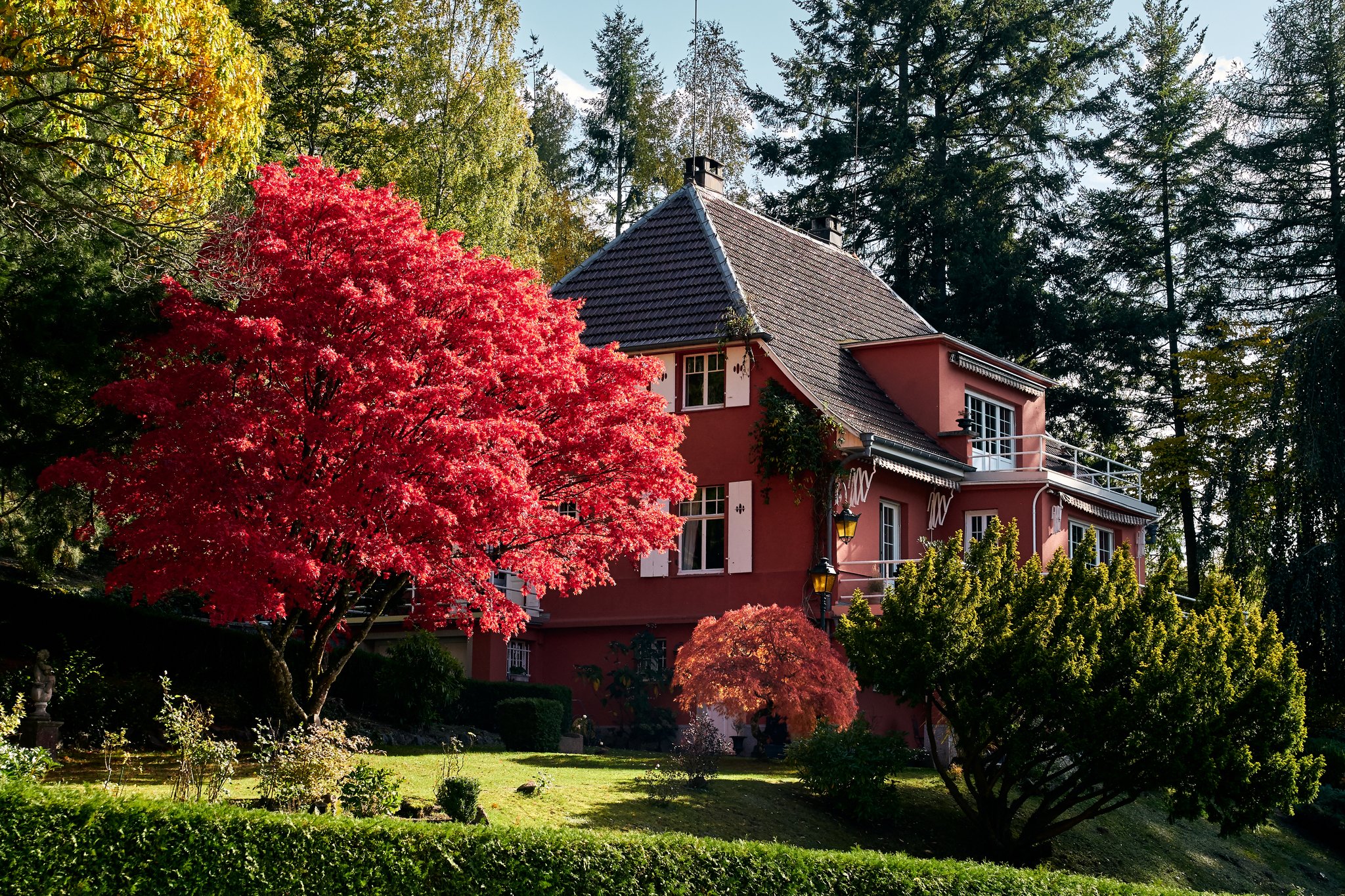 Mal was aus den Vogesen.....