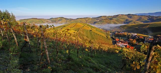Panoramablick von der Sendelbacher Höhe über Durbach hinweg zum Schloss Staufenberg. | Foto: Günter Franz Müller
