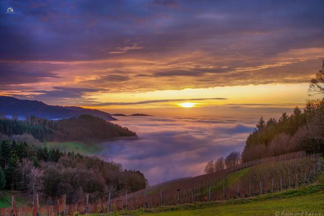 Gestern Abend auf dem Wolfersberg über Kappelrodeck