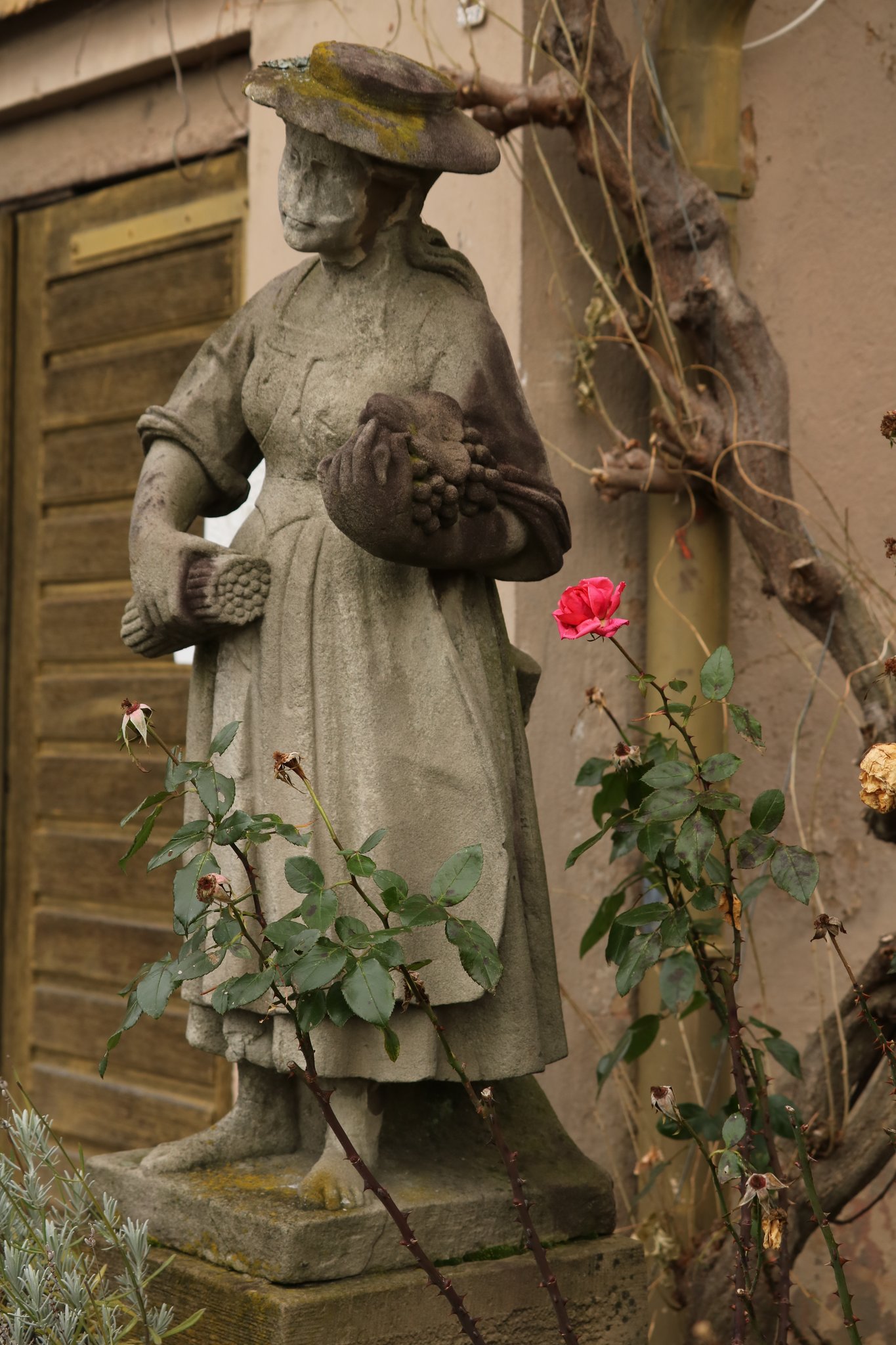 Bei Ortenberg