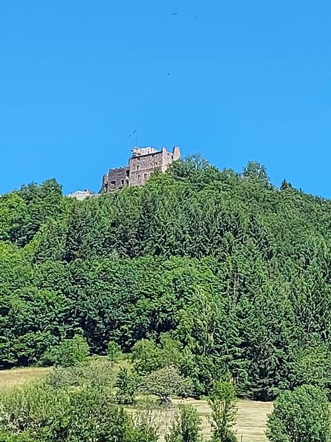 Pfingstmontags Wanderung zur Burgruine.
Wetter....Weitsicht...wunderschön...
