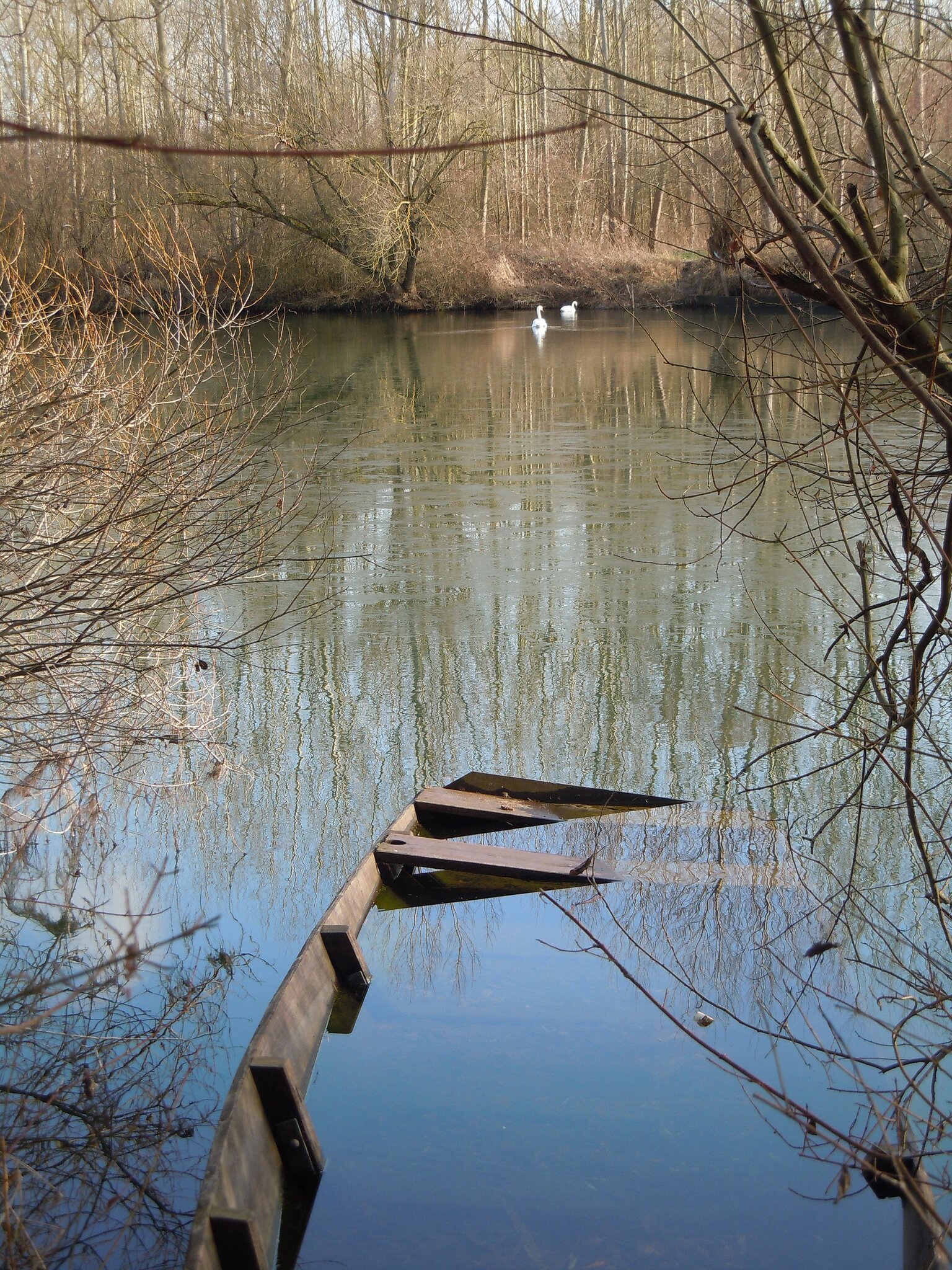 Naturschutzgebiet Taubergießen Den beiden gefällts.