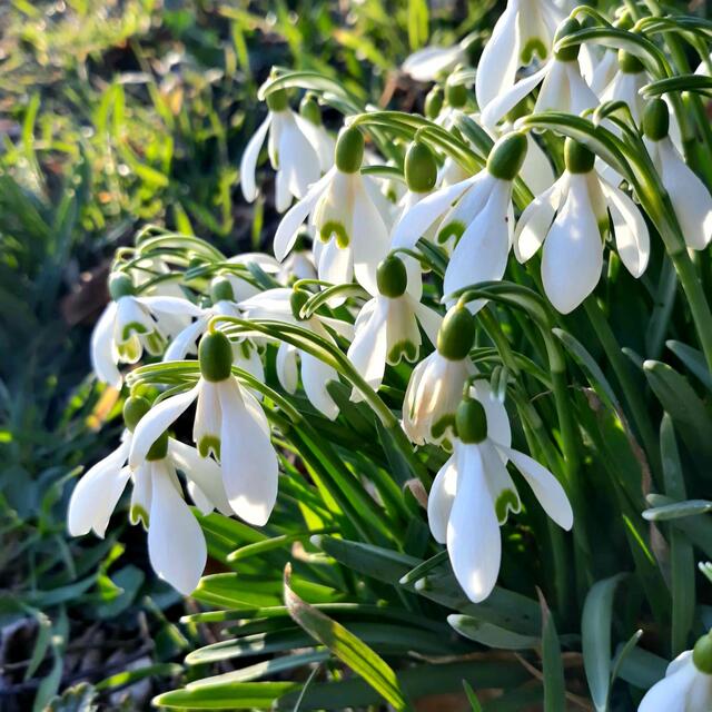 Hallo Frühling! 