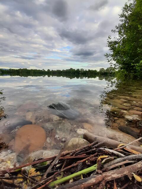 Baggersee Kork