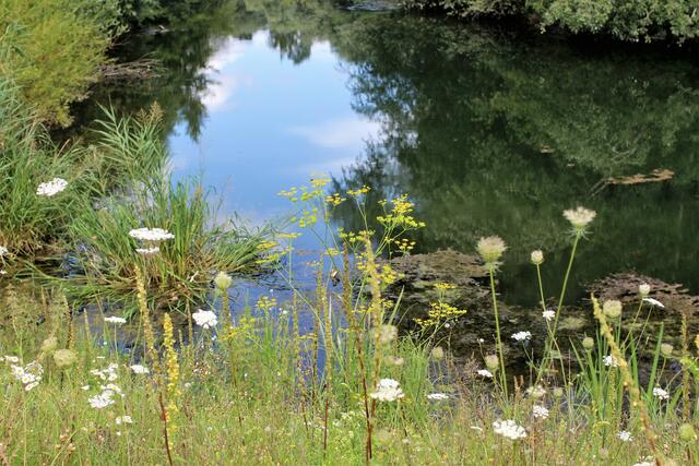 Was ist oben, was ist unten?