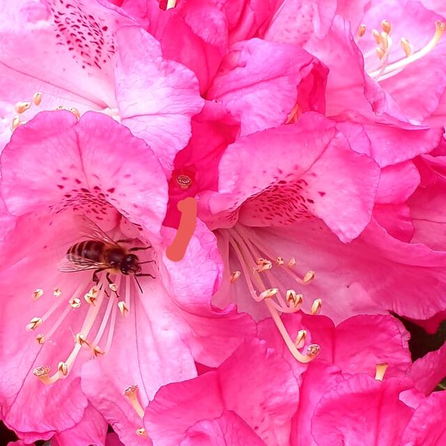 Im Stadtpark kann es nicht  schöner sein!
