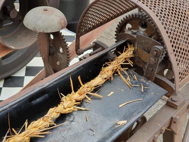 900 Jahre Windschläg | Foto: Tanja Franz 