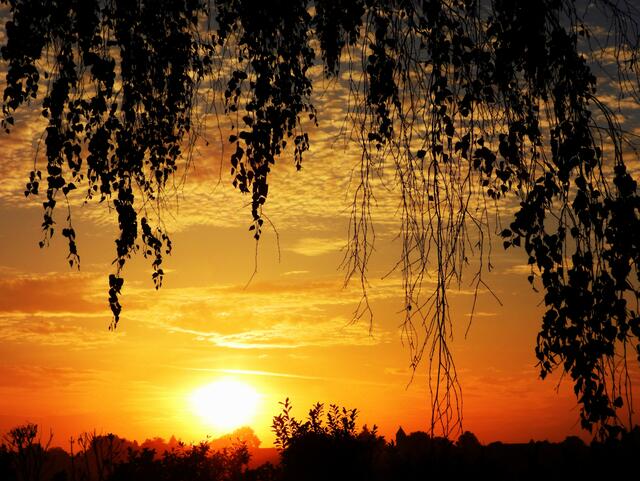 Das goldene Licht