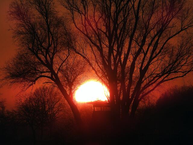 Abendstimmung