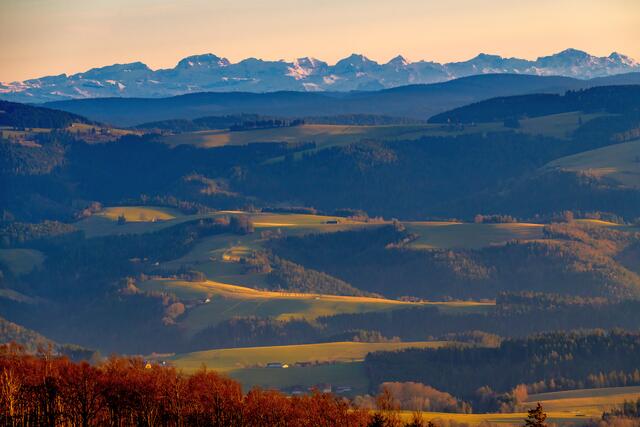 Alpensicht auf dem Kandel | Foto: HS FOTO
