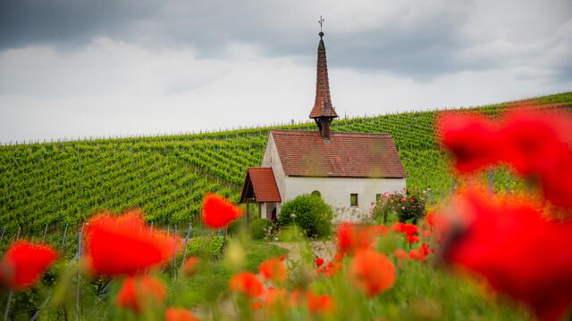 Die Eichertkapelle in Sasbach-Jechtingen | Foto: HS FOTO