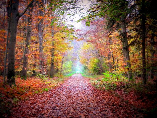 Stille im Herbst