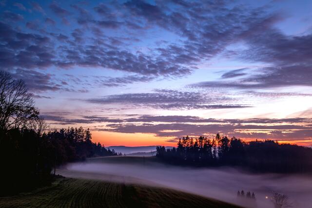 Nebelschwaden unterhalb der Fischerbache Nillhöfe | Foto: HS FOTO