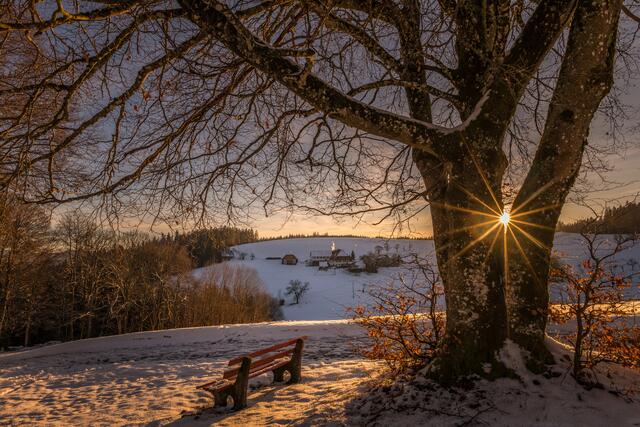 "Weihnachtsstern" bei Wolfach-St. Roman | Foto: HS FOTO