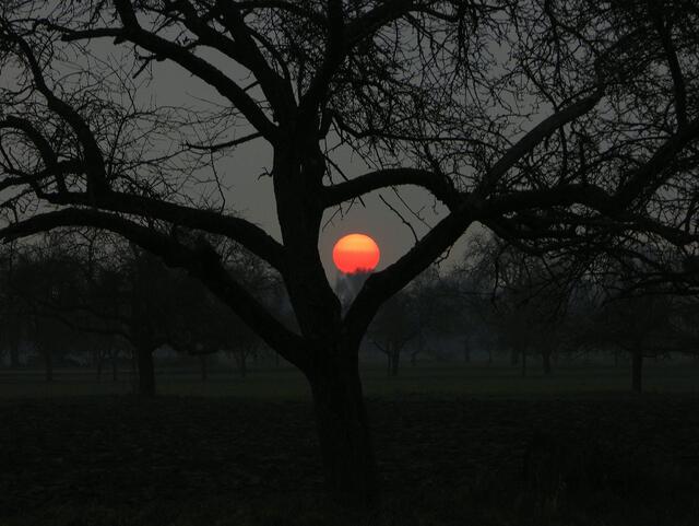 Mit der untergehenden Sonne kommt der Nebel