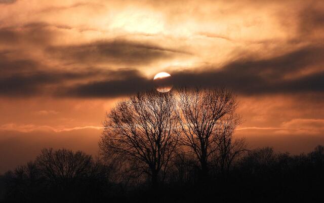 Wintermorgen