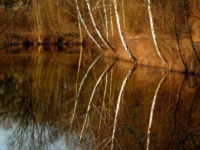 Man muss nicht weit anreisen, um schöne Naturaufnahmen zu erstellen.
Das Foto machte ich an einem der kleinen Seen, die sich im Naturschutzgebiet "Sauscholle" in der Nähe der Ortschaft Ichenheim befinden.  | Foto: Alfred Schramm