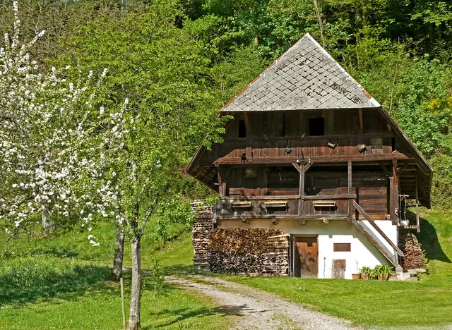 Foto: Alfred Schramm
