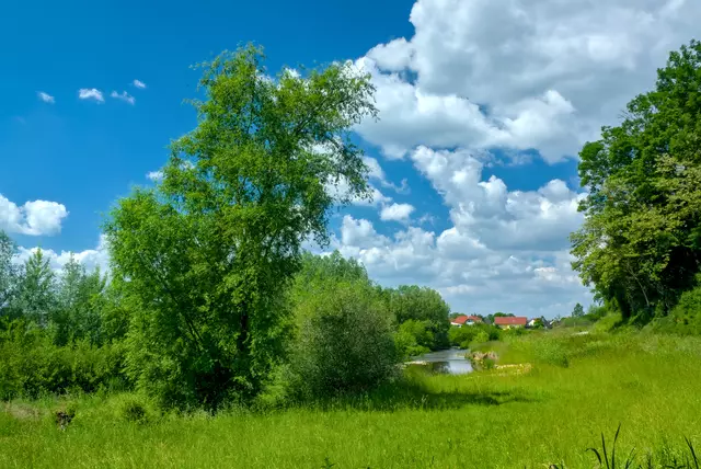 Wie trostlos und trist wäre umsere Heimat doch ohne ihre wunderbaren Farben!