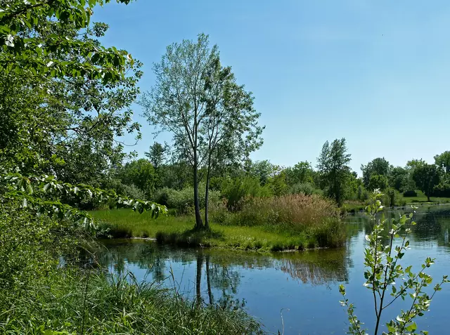 ...vom Vogelbeobachtungsturm aus fotografiert. | Foto: Alfred Schramm
