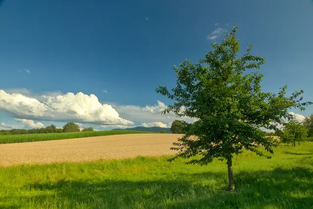 Wolken und Sonnenschein