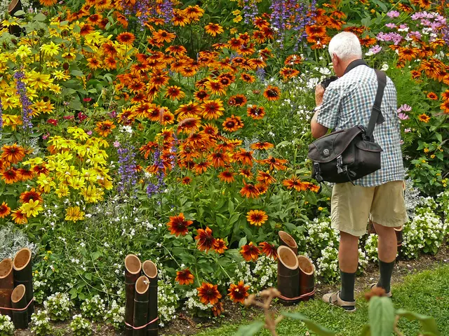 Eine Blumenpracht, die stets ein Foto wert ist. | Foto: Alfred Schramm