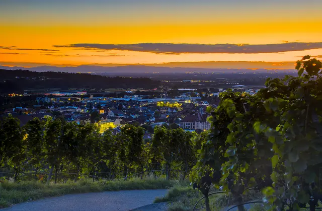 Blick in die Rheinebene