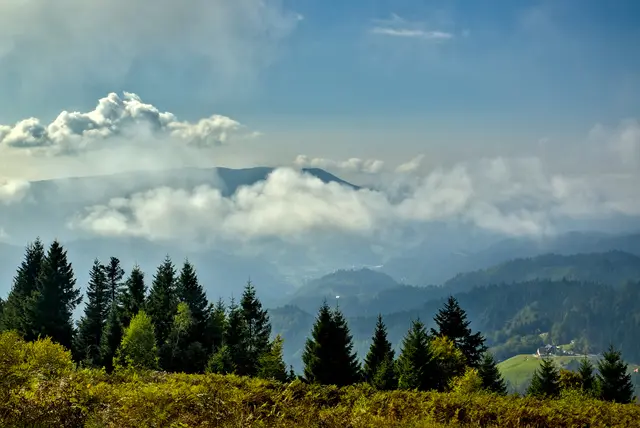 Aussicht vom Rossbühl 