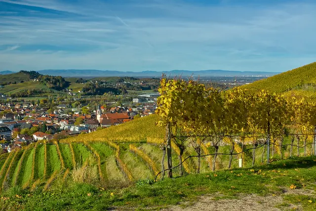 So deutlich siht man die Vogesen selten!